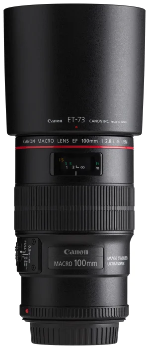 Canon EOS DSLR və 50mm Lens