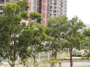 Özel Bahçeli Modern Villa