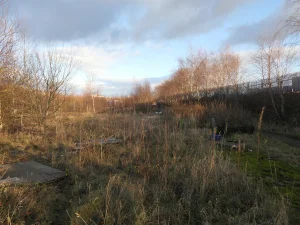 Yola Cepheli 1.200 m² İmarlı Arsa