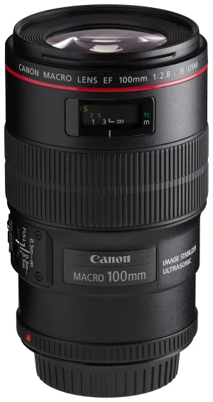 Canon EOS DSLR və 50mm Lens