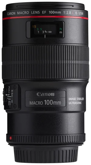 Canon EOS DSLR və 50mm Lens
