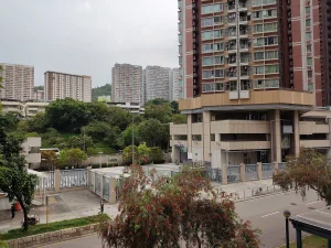 Özel Bahçeli Modern Villa