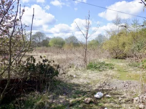 Yola Cepheli 1.200 m² İmarlı Arsa