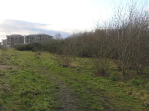 Yola Cepheli 1.200 m² İmarlı Arsa
